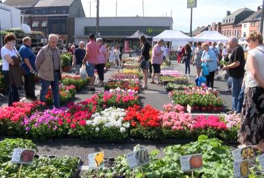 C Local - Festival Fleurs et Jardins à Courcelles