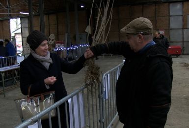 C Local - La journée de l'arbre et de la biodiversité à Thuin