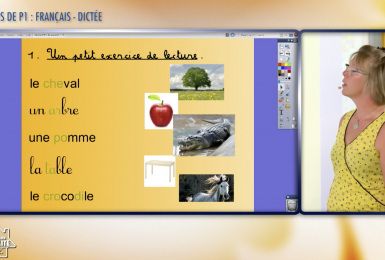 Une éducation presque parfaite presqu'à l'école : Dictée (P1)