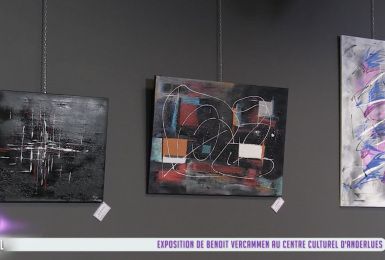 Exposition de Benoît Vercammen à Anderlues