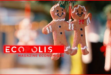 Ecopolis : Christmas Business