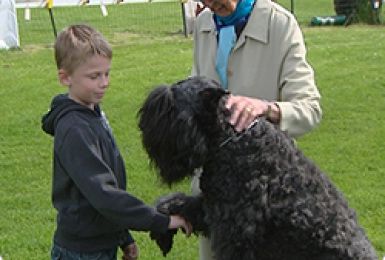 06/06/13 : VISITE SCOLAIRE AU CLUB CANIN DE DAMPREMY