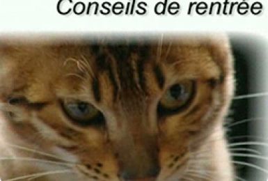 05/09/13 : CONSEILS DE RENTREE