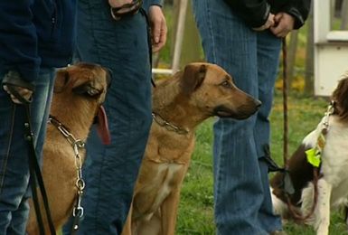 17/04/14 : LE CENTRE CANIN DE FORMATION DE RANSART