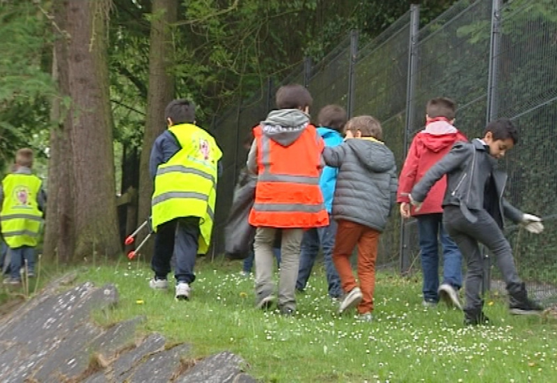 Chasse aux cochons