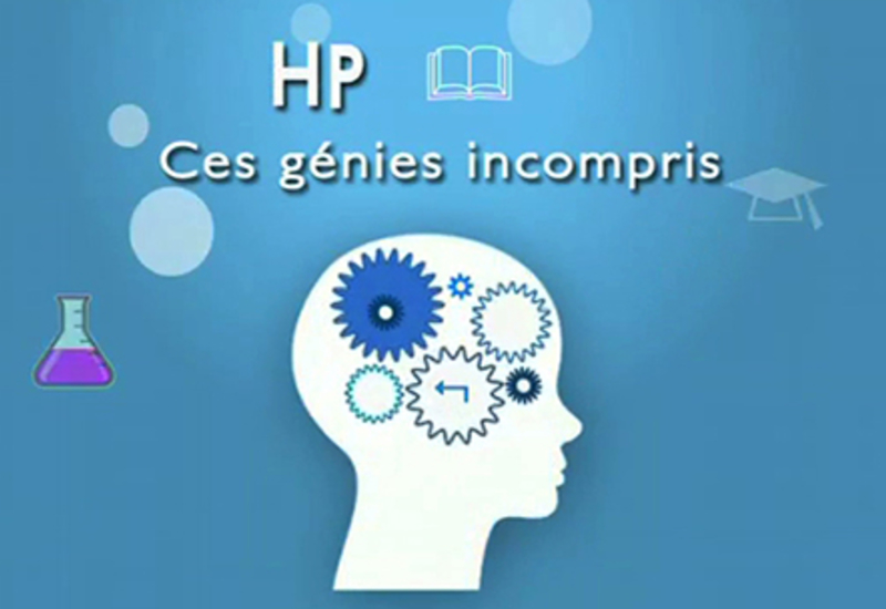VIVRE EN SAMBRE : HP, génies incompris