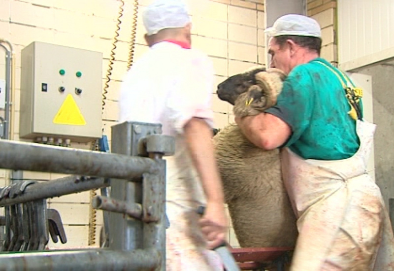 La Fête du Mouton s'est déroulée dans la sérénité à Charleroi