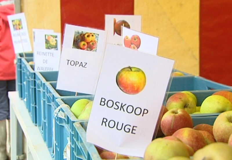 Fête de la pomme à Liberchies