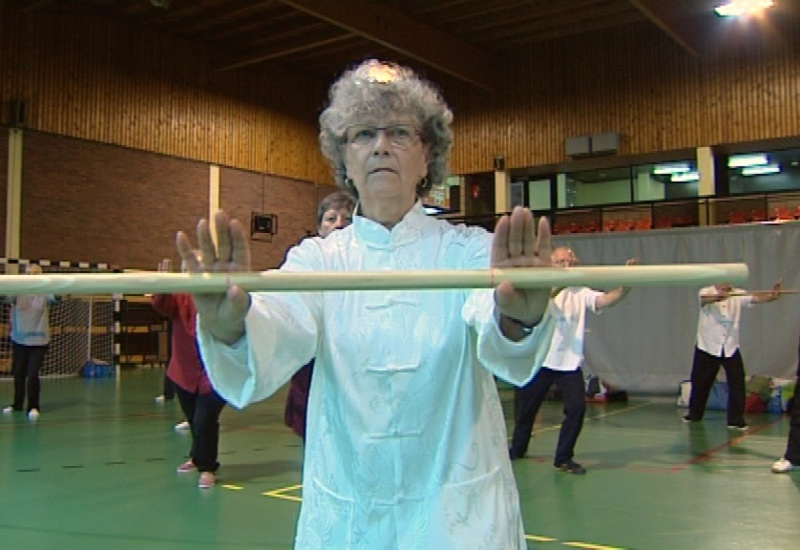 Arts martiaux : rencontre Synergies à Marcinelle