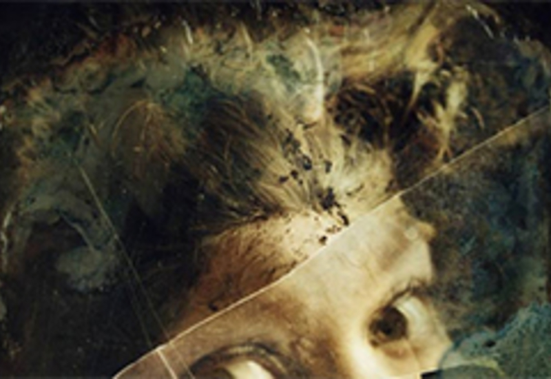 Festival Bis-Arts : Alice