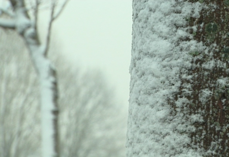 La neige a fait son apparition