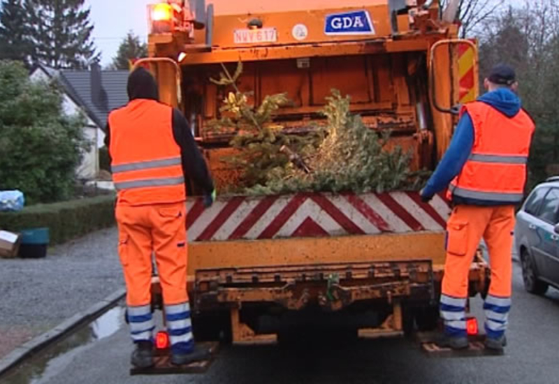 L'ICDI a commencé le ramassage des sapins