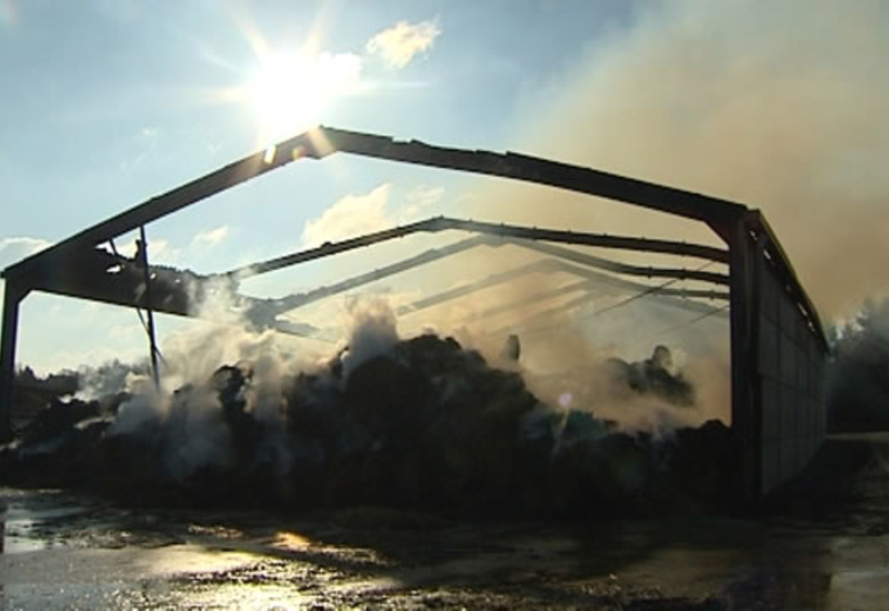 Plus de 15 veaux ont perdu la vie dans un violent incendie à Fosses-la-Ville