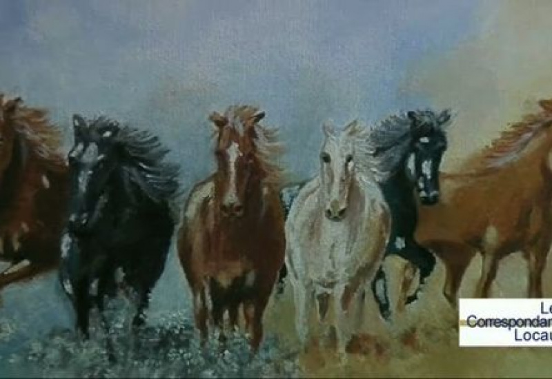 Expo de peintures à Sombreffe