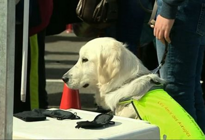 Dialogue Hainaut : Notre différence, c'est votre indifférence!