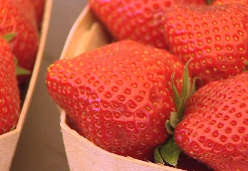 C'est la saison des fraises !