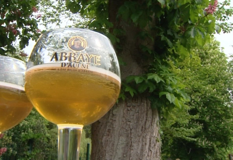 Détente au soleil à l'abbaye d'Aulne