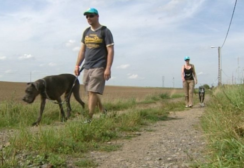 Pense-Bêtes : Dog & Run à Pont-à-Celles