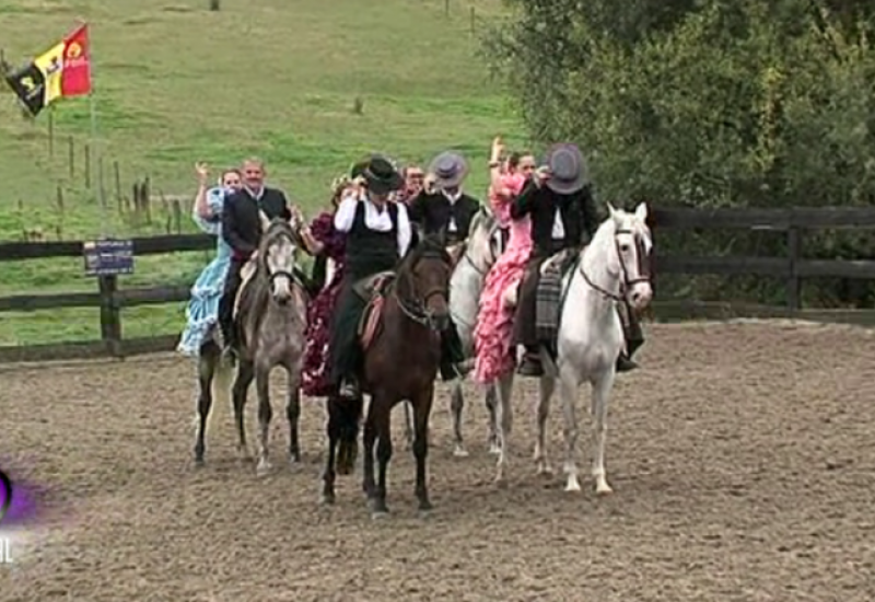 Féria annuelle aux Ecuries du Trèfle à Seneffe