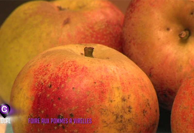 Foire aux pommes de Virelles
