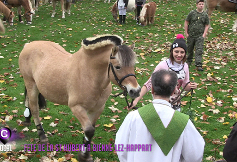 St Hubert à Lobbes
