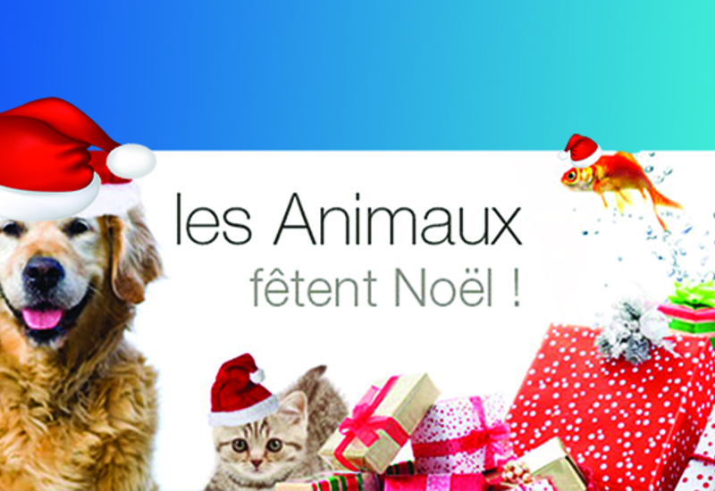 Remportez 1 coffret découverte ou des entrées de cinéma