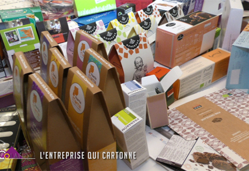 Ecoland, découverte : L'entreprise qui cartonne !
