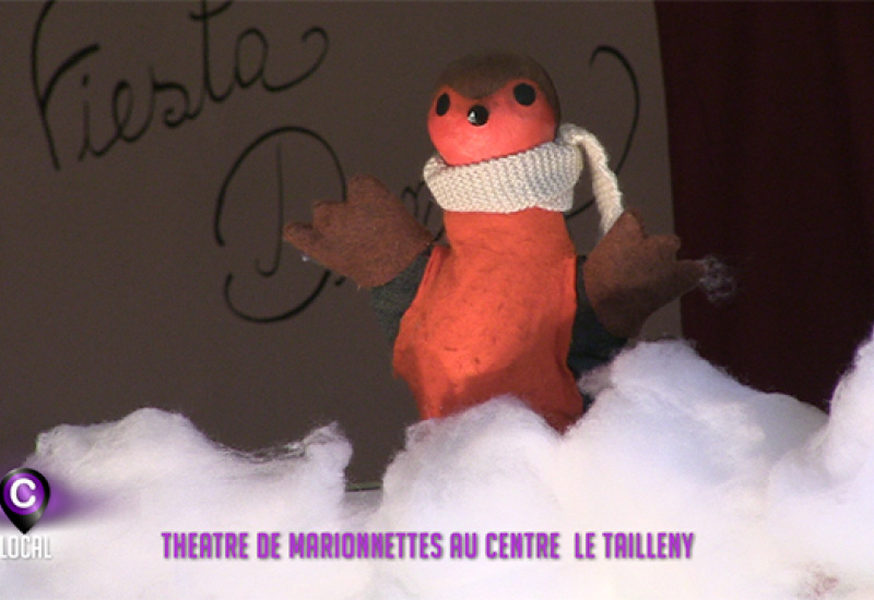 Théâtre de marionnettes au centre Le Tailleny