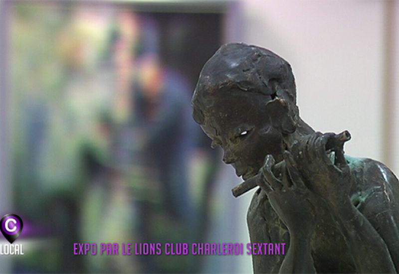 Expo par le Lions Club Charleroi Sextant