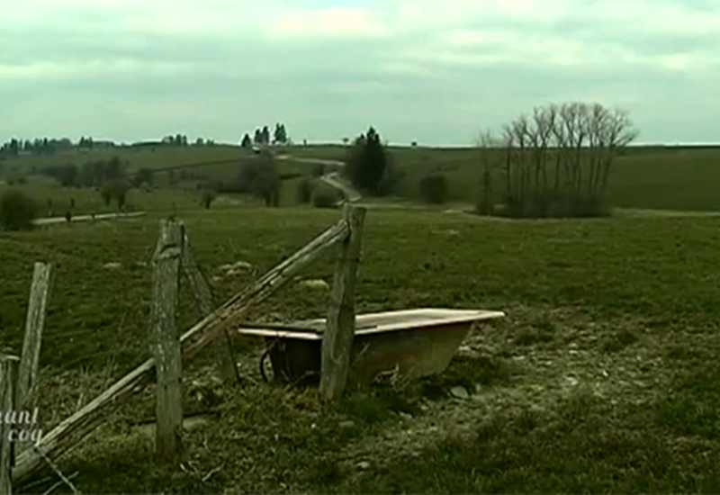 Au chant du coq : Ferme d'élevage de BBB à Gouvy