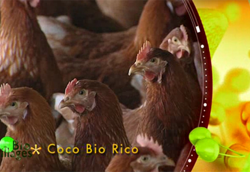 Bio Villages : Coco Bio Rico
