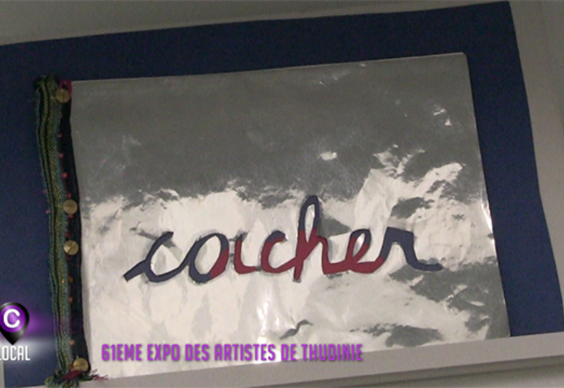 61ème expo des artistes de Thudinie
