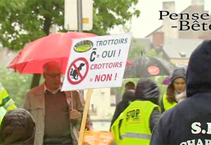 Pense-Bêtes : Des trottoirs pas des crottoirs!