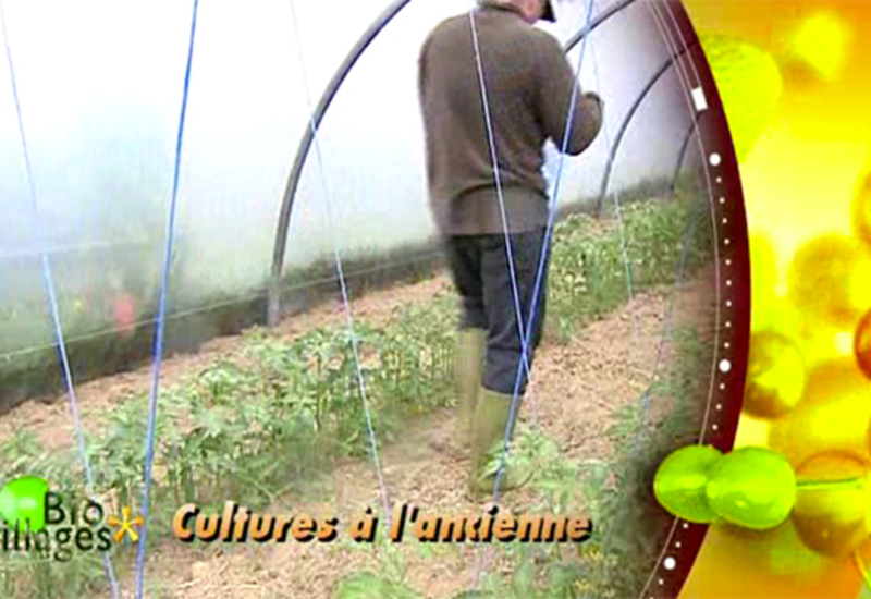 Bio Villages : cultures à l'ancienne à la Ferme du Pissenlit