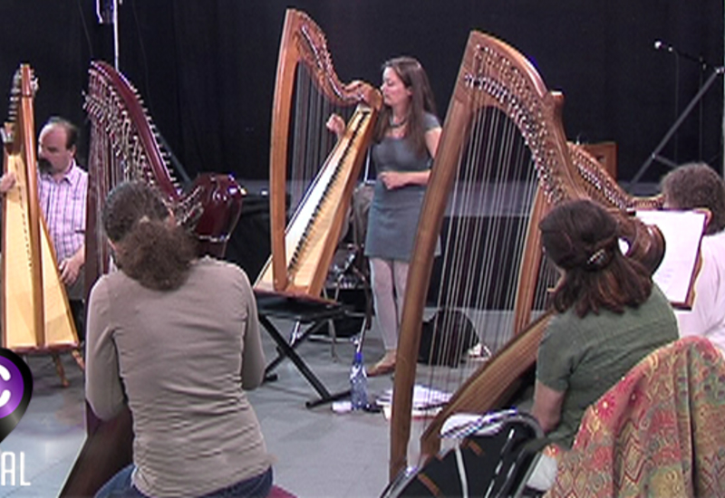 Un stage de harpe à découvrir à Gerpinnes