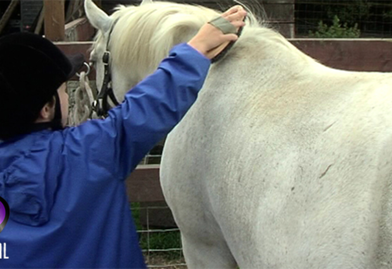 Stage d'équitation au Poney Club de Gouy