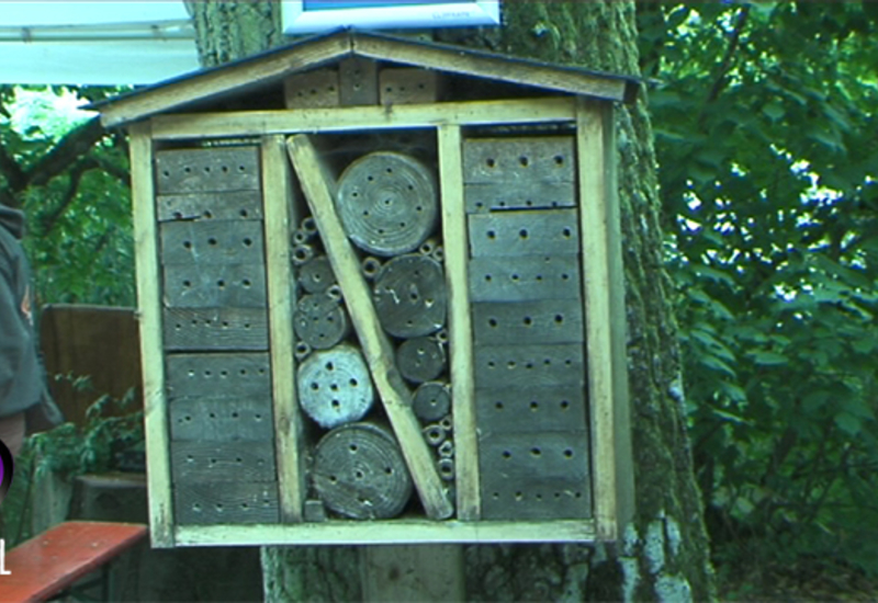 Fête du Miel et de la Nature à Virelles