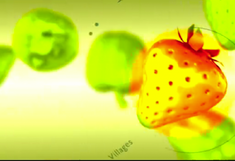 Bio Villages : légumes de saison, soin du corps bio pour enfants, alimentation sans gluten