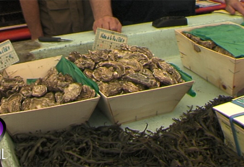14ème Foire du Goût à Erquelinnes