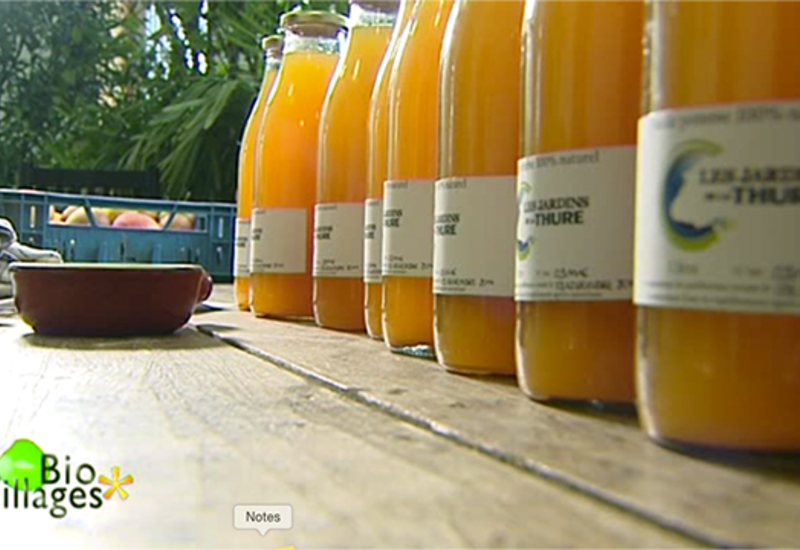Erquelinnes: Alexandre participe au nouveau marché des saveurs locales ! 