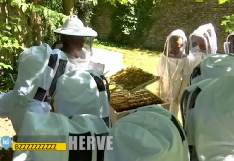 Vivre ici: lundi 29 mai 2017