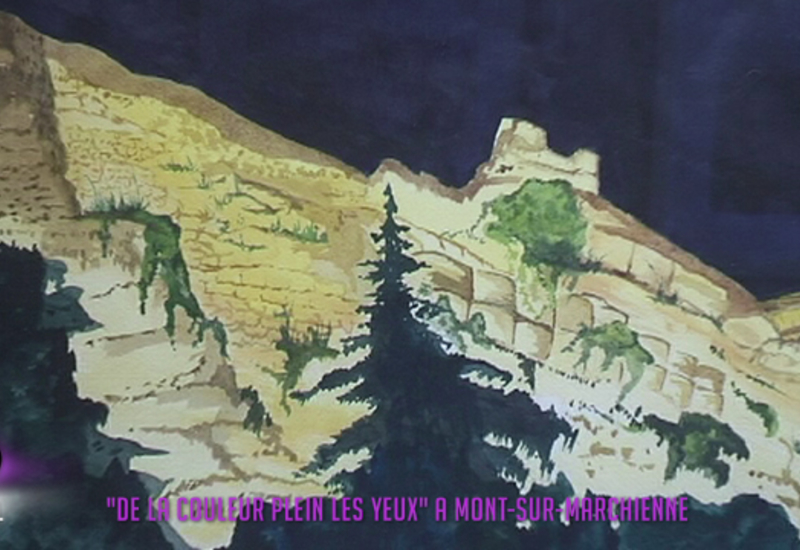 ''De la couleurs plein les yeux'' à Mont-sur-Marchienne