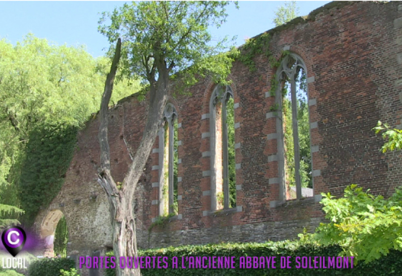 Découverte de l'ancienne abbaye de Soleilmont