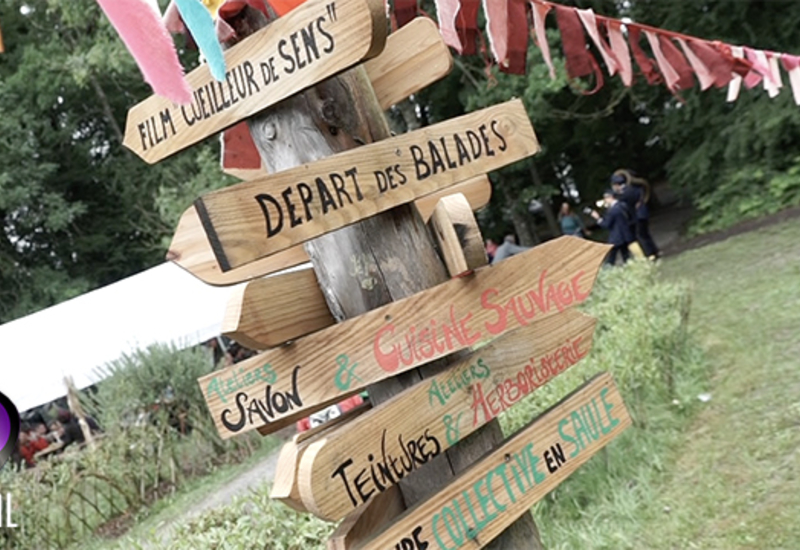 Le Festival des bonnes herbes à Virelles