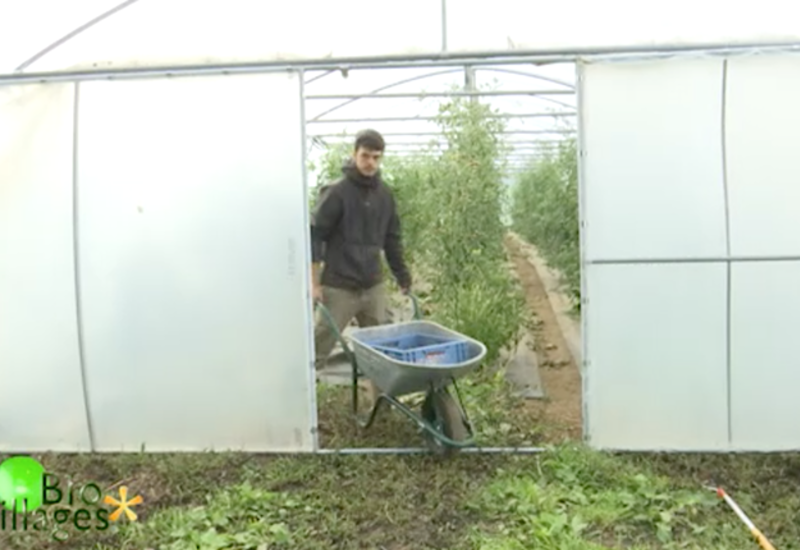 Bio Villages: Découverte de la ferme du Tchapia