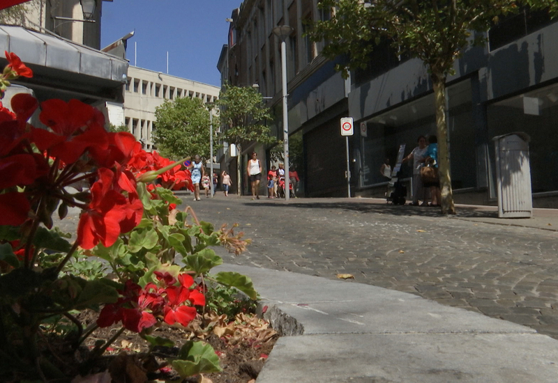 Charleroi : un appel à projets pour remplir les cellules vides de la rue de la Montagne