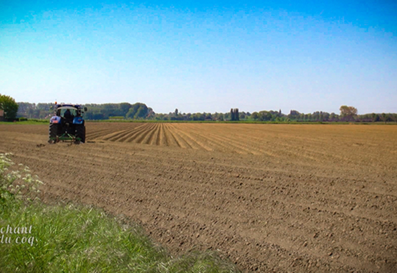 Au Chant du Coq: Le service de remplacement agricole