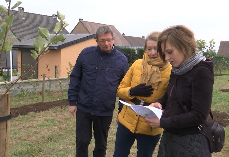 Nouveau verger communautaire à Châtelineau