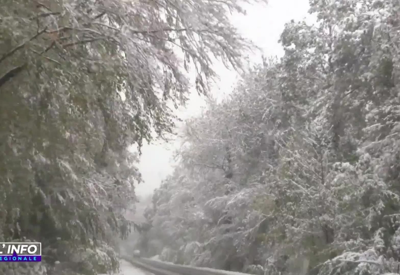 Premières neiges...