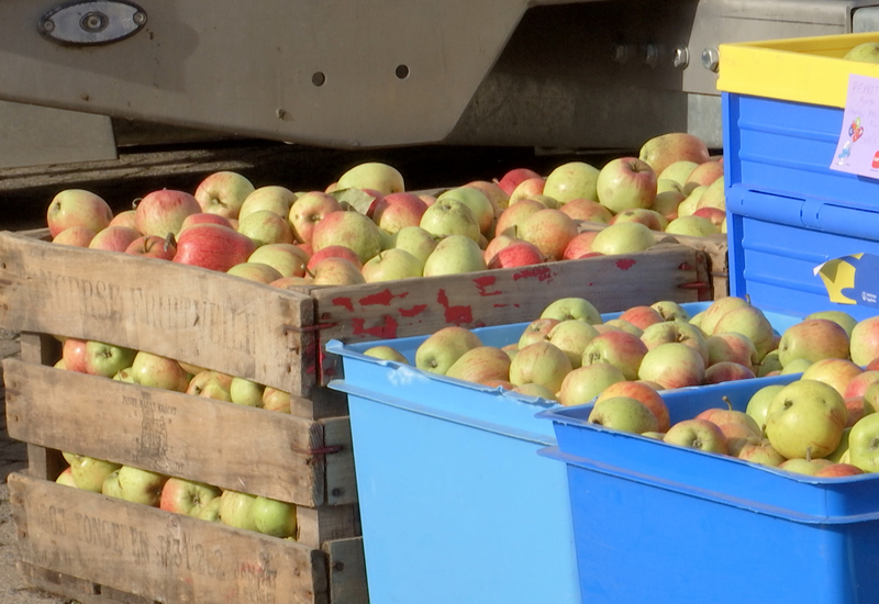 Tout le monde a ramené ses fruits à Lausprelle 